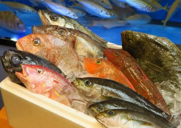 さかなや道場 所沢駅前店 Sakanaya Dojo Tokorozawa Ekimae is conveniently located one minute from Tokorozawa Station, and serves freshly prepared fish from the store's own fish tanks.