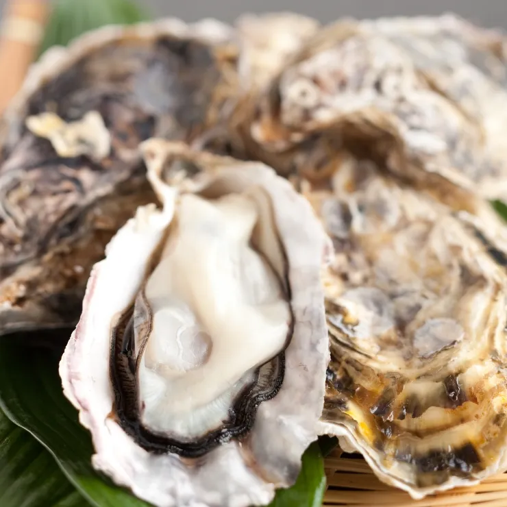 広島 特産牡蠣