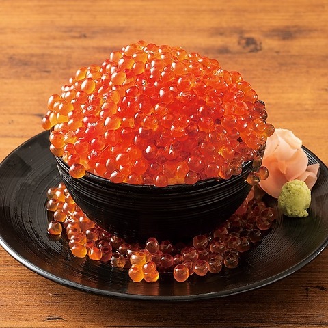 北海道産こぼれいくら飯