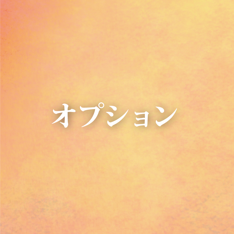 オプションについて