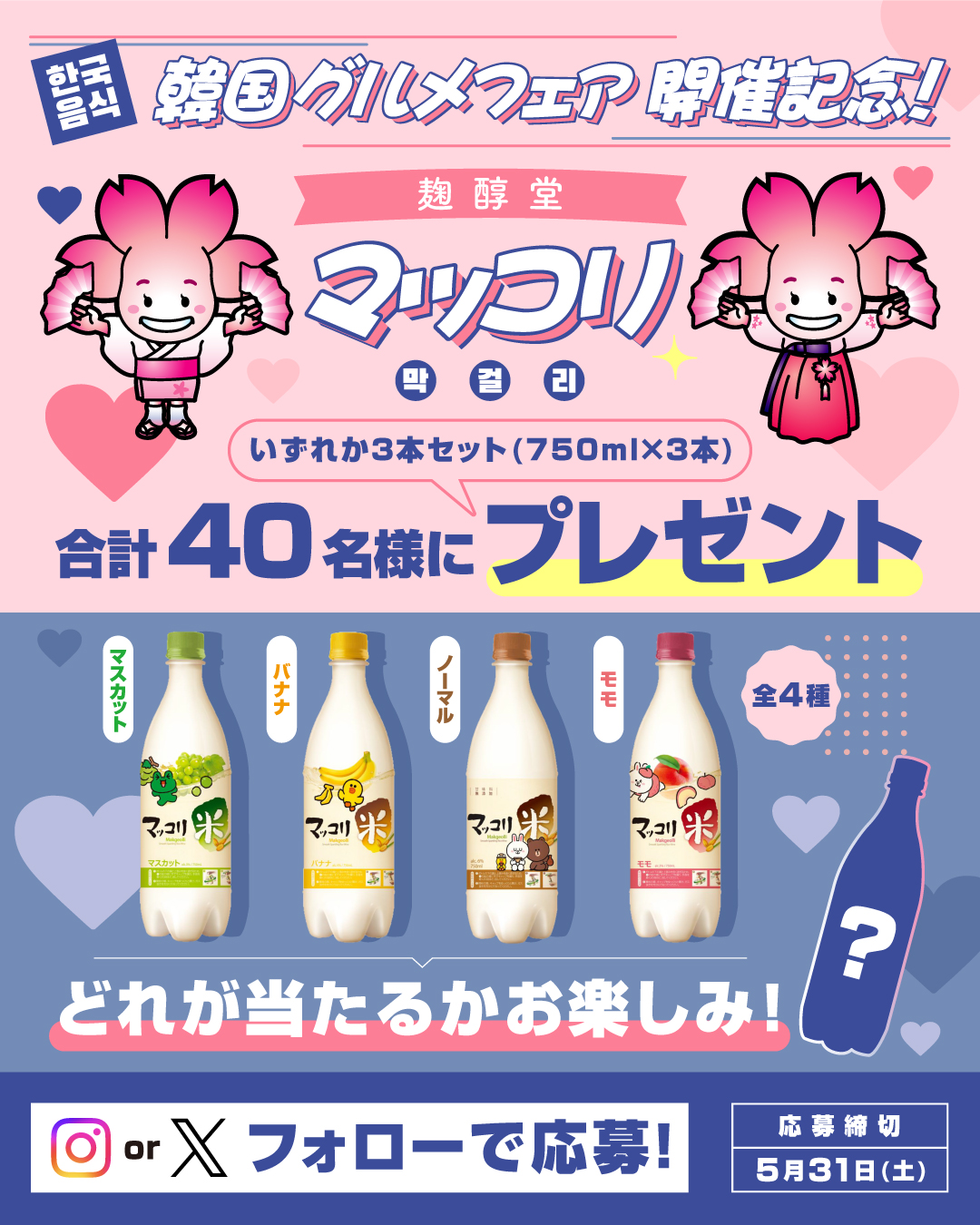 マッコリキャンペーン
