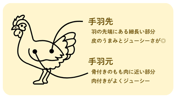 手羽先と手羽元、何が違う?